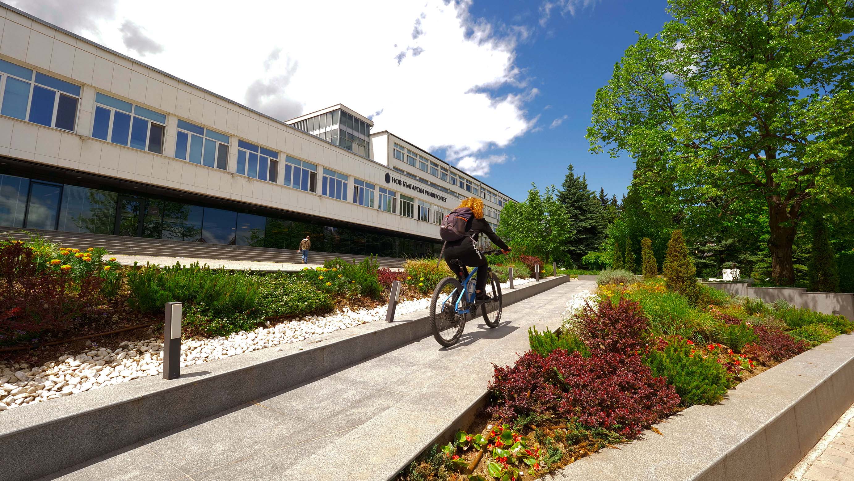 CITY COLLEGE, UNIVERSITY OF YORK (НБУ)